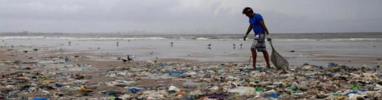 Single-Use Plastic To Be Banned From Oct 2?
